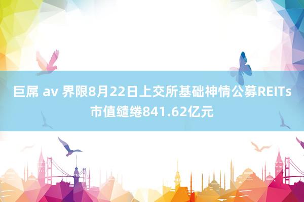 巨屌 av 界限8月22日上交所基础神情公募REITs市值缱绻841.62亿元
