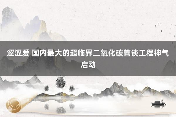 涩涩爱 国内最大的超临界二氧化碳管谈工程神气启动
