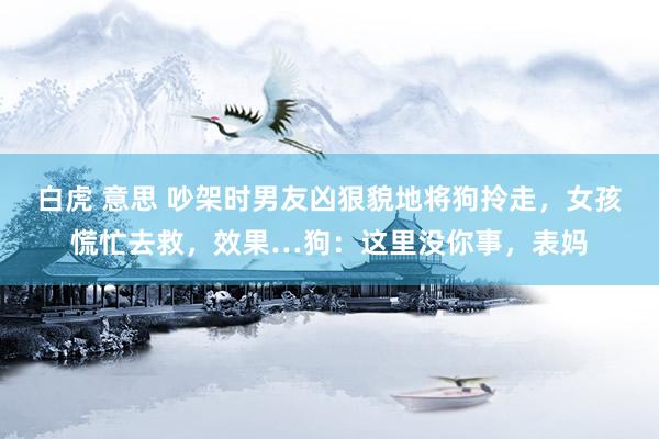 白虎 意思 吵架时男友凶狠貌地将狗拎走，女孩慌忙去救，效果…狗：这里没你事，表妈