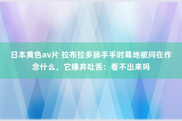 日本黄色av片 拉布拉多舔手手时蓦地被问在作念什么，它嫌弃吐舌：看不出来吗