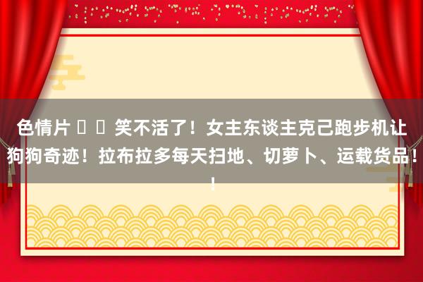 色情片 ▶️笑不活了！女主东谈主克己跑步机让狗狗奇迹！拉布拉多每天扫地、切萝卜、运载货品！