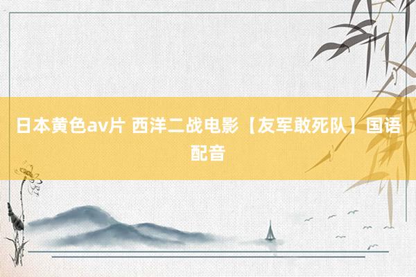 日本黄色av片 西洋二战电影【友军敢死队】国语配音